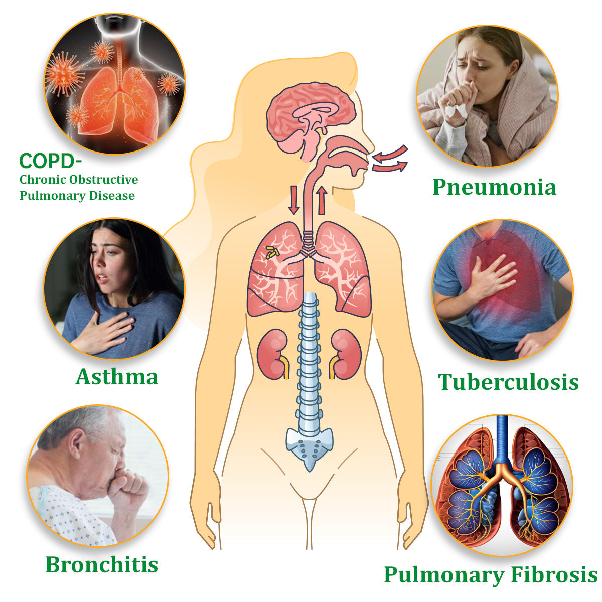 ✨ New upgraded version of Glowrizon® Mullein Herbal Lung Purifier – 🔥 70% off today only!